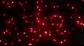 Lens flare sparkling glowing twinkle star lights glow background 4k 4k or 4k+ Resolution