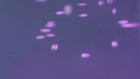 Lens flare texture blur glow purple pink particles Stock Footage 280953163