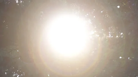 Lens flare_1 Stock Footage 26184224