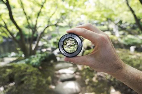 Lens focus on forest stream through camera lens Stock Photos
