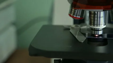 Lens of the microscope Stock Footage 55899607