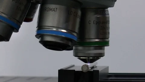 A lens of a microscope Stock Footage 70105143