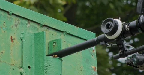 The lens probe while filming a wasp nest Stock Footage 317939314