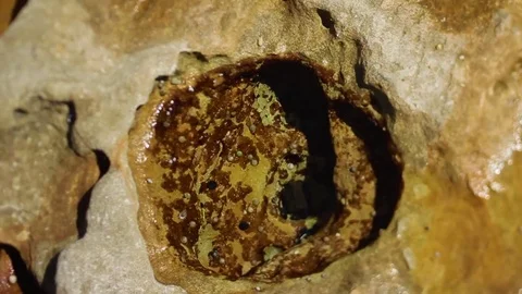 Lens-Whacked Rock Pool Stock Footage 74655013