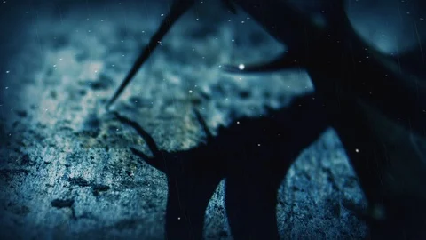 LENT BG 1 Vidéo 104891522