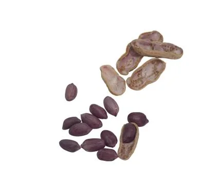 Lentil and nut shell. Stock Photos