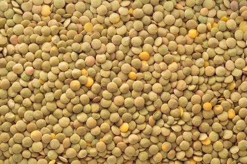 Lentil background Stock Photos