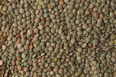 Lentil background Stock Photos