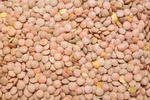 Lentil background, texture Stock Illustration