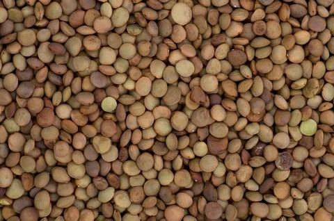 Lentil bcg Stock Photos