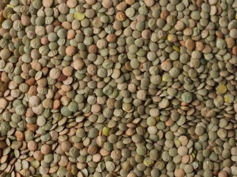 Lentil beans background Foto stock