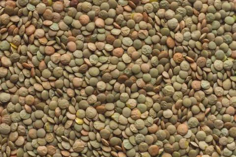Lentil beans background Foto stock