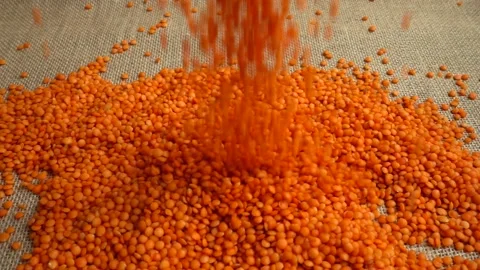 Lentil falling on burlap. Slow motion. Vidéo 131884966