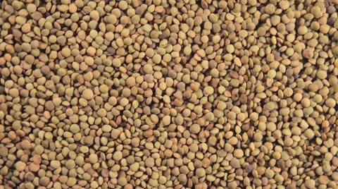 Lentil grains (Rotation) Stockbeeldmateriaal 65373926