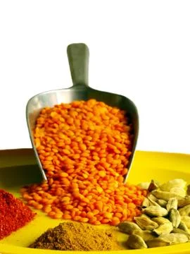 Lentil Stock Photos