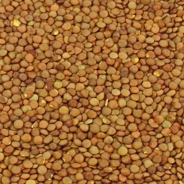 Lentil Stock Photos