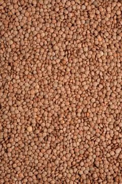Lentil seed texture background Stock Photos
