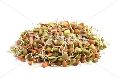 Lentil seeds Stock Photos
