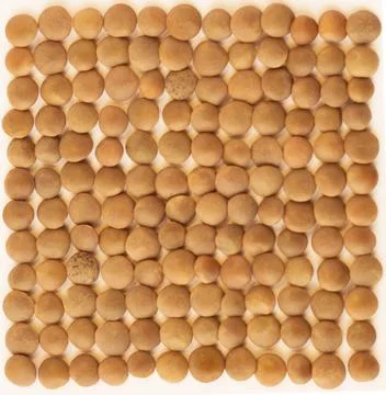 Lentil seeds in rows. Stock Photos