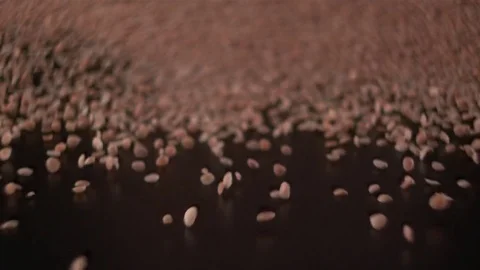  Lentil wave coming towards the camera Stock-Footage 81805564