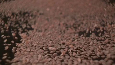  Lentil wave coming towards the camera Stock-Footage 81805573