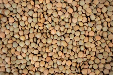 Lentils arranged in top-down view. Ideal for food banner, eco design, or Stock Photos