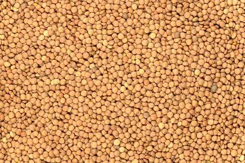 Lentils Background and Texture Foto stock