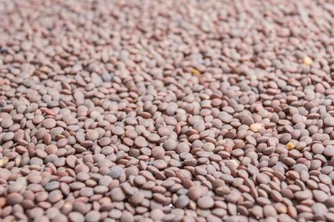 Lentils background Stock Photos