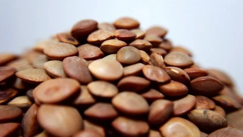 Lentils in closeup, looping 360 macro video Stock Footage 125680146