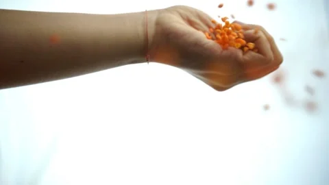 Lentils drops off the hand from the top Stock Footage 133655097