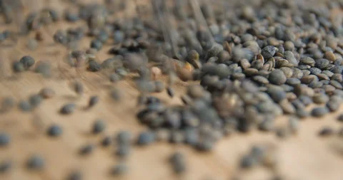 Lentils falling rotating studio macro Stock Footage 101476221