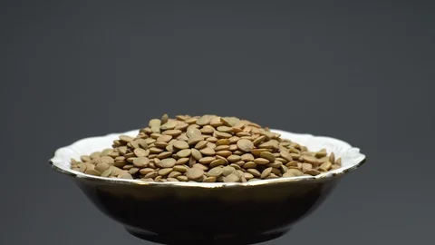 Lentils. Heap of raw uncooked brown lentils Stock Footage 102410899