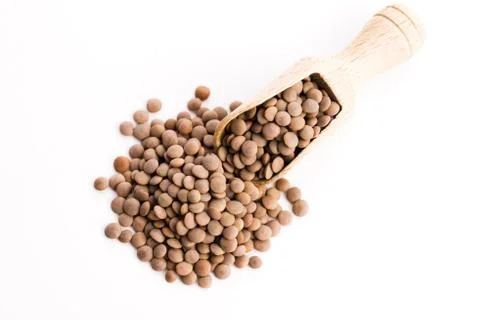 Lentils Isolated on White Background Stock Photos