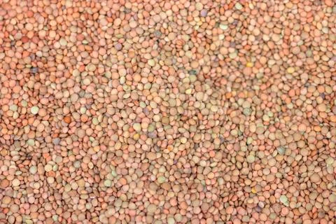 Lentils. Lentils background. Lentils pattern. Natural organic lentils for hea Stock Photos
