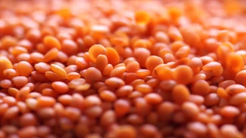 Lentils loose Video stock 195294473