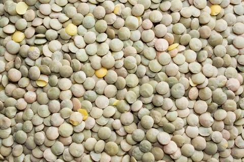 Lentils Stock Photos