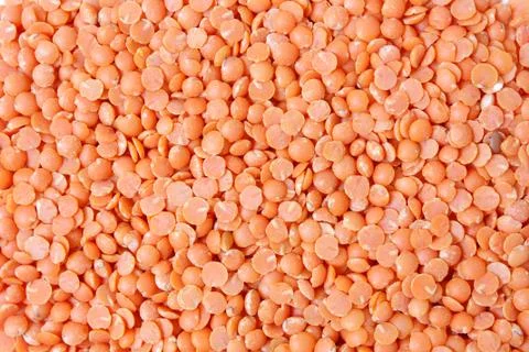 Lentils Stock Photos