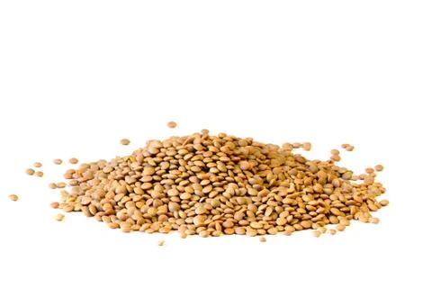 Lentils Stock Photos