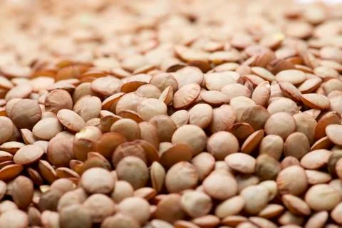Lentils Stock Photos