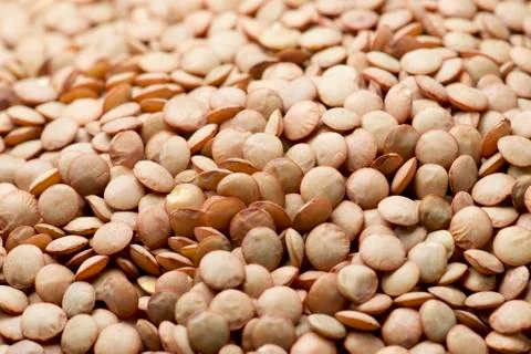 Lentils Foto stock