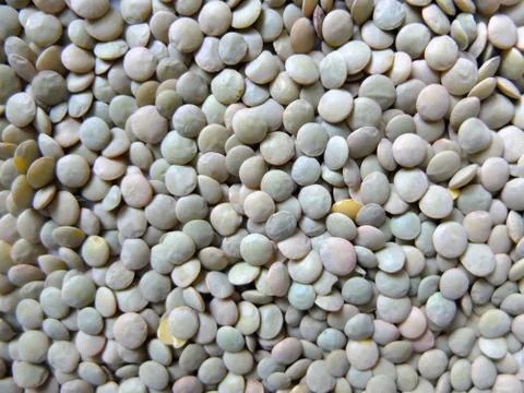 Lentils. Stock Photos