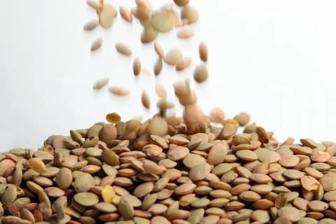 Lentils 스톡 사진