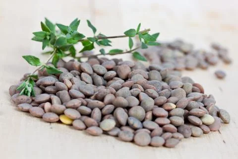 Lentils Stock Photos