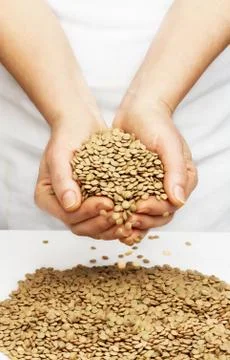 Lentils Stock Photos