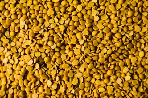 Lentils Stock Photos