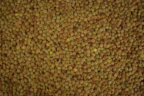 Lentils Foto stock