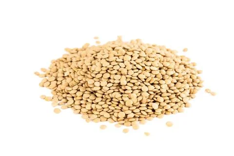 Lentils Stock Photos