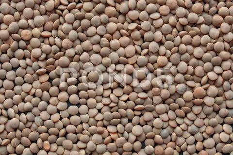 Lentils picture Stock Photos
