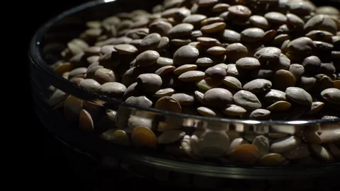 Lentils. Rotation. Close up. Heap of raw uncooked brown lentils. Video stock 102411767
