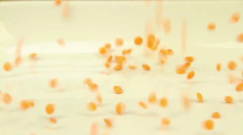 Lentils spilling on white dish Stock Footage 47932515